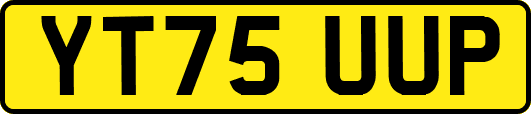 YT75UUP