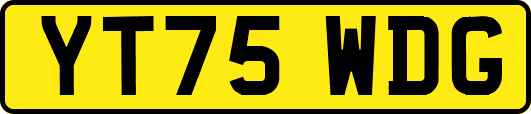 YT75WDG