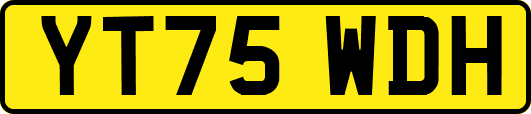 YT75WDH