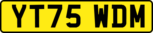 YT75WDM
