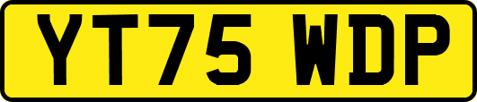 YT75WDP