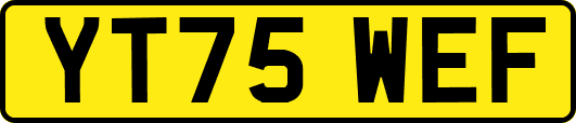 YT75WEF