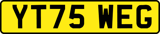 YT75WEG