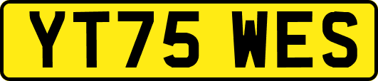 YT75WES
