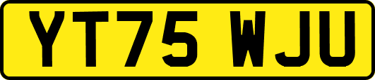 YT75WJU
