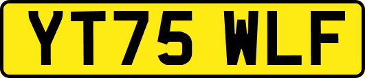 YT75WLF