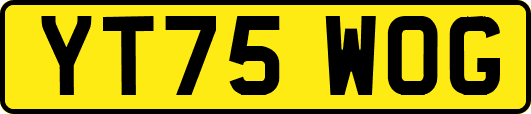 YT75WOG