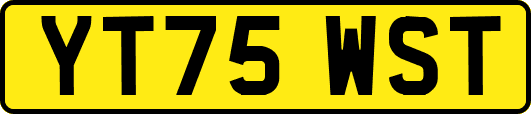 YT75WST
