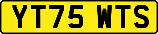 YT75WTS