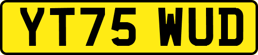 YT75WUD