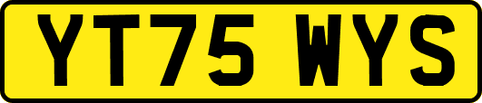 YT75WYS