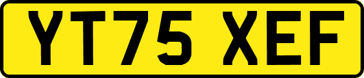 YT75XEF