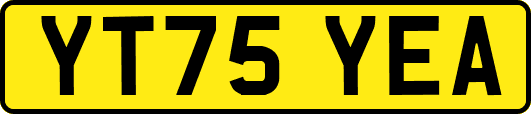 YT75YEA