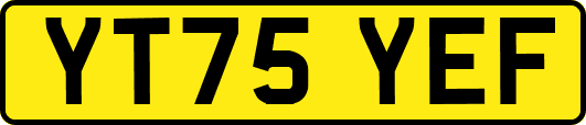YT75YEF