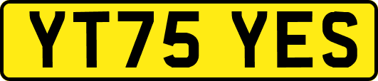 YT75YES