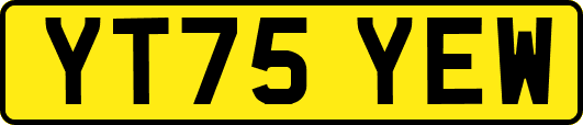 YT75YEW