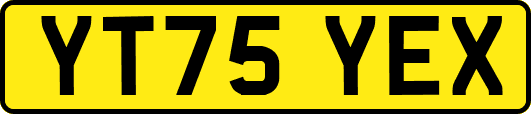 YT75YEX