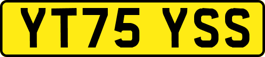 YT75YSS
