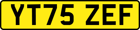 YT75ZEF