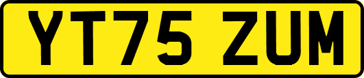 YT75ZUM