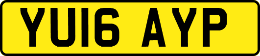 YU16AYP