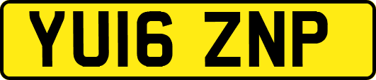YU16ZNP