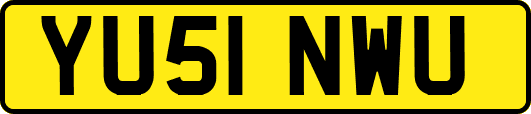 YU51NWU