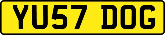 YU57DOG