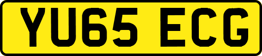 YU65ECG