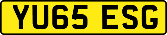 YU65ESG