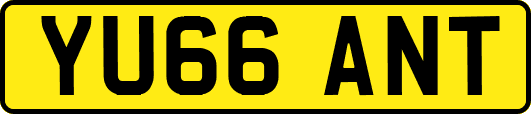YU66ANT