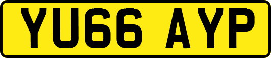 YU66AYP