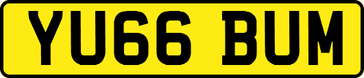 YU66BUM