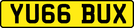 YU66BUX