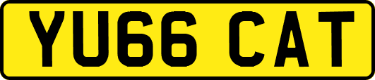 YU66CAT