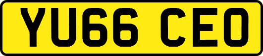 YU66CEO