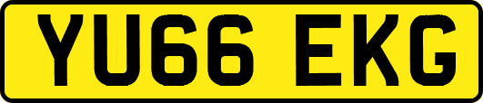 YU66EKG