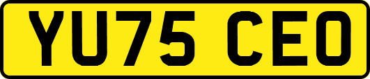 YU75CEO
