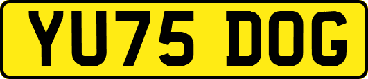 YU75DOG