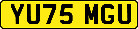 YU75MGU