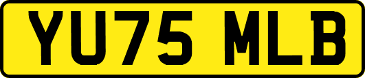 YU75MLB