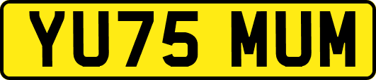 YU75MUM