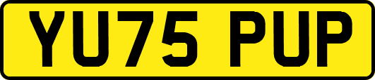 YU75PUP