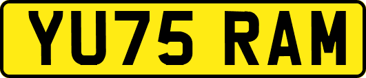 YU75RAM
