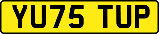 YU75TUP