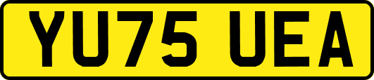 YU75UEA