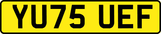 YU75UEF