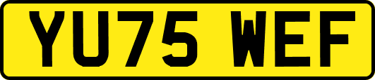 YU75WEF