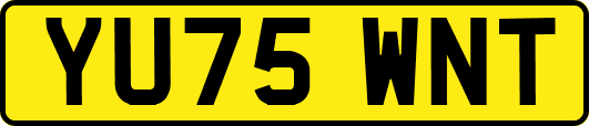 YU75WNT