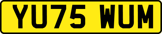 YU75WUM